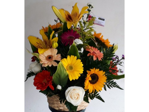  Primaveral Canasta de Hortensia,Girasol y Lirios