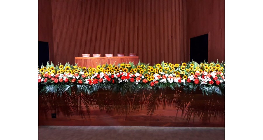 Arreglos para  Auditorio