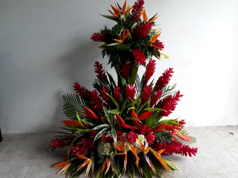 PODIO Tropical Ginger - Aves